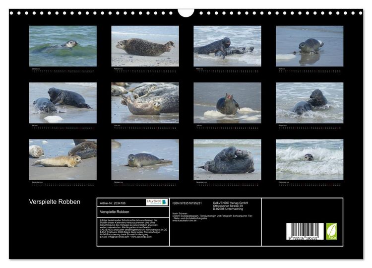 Produktbild: Verspielte Robben (Wandkalender 2026 DIN A3 quer), CALVENDO Monatskalender