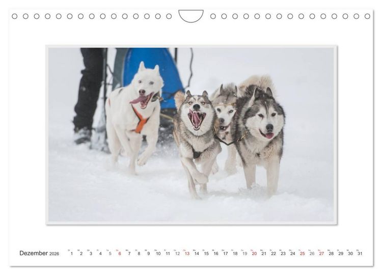 Produktbild: Emotionale Momente: The Art of Huskys. / CH-Version (Wandkalender 2026 DIN A4 quer), CALVENDO Monatskalender