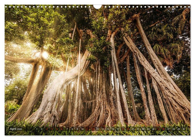 Produktbild: Die Kanarische Inseln Teneriffa, Gran Canaria und Fuerteventura (Wandkalender 2026 DIN A3 quer), CALVENDO Monatskalender