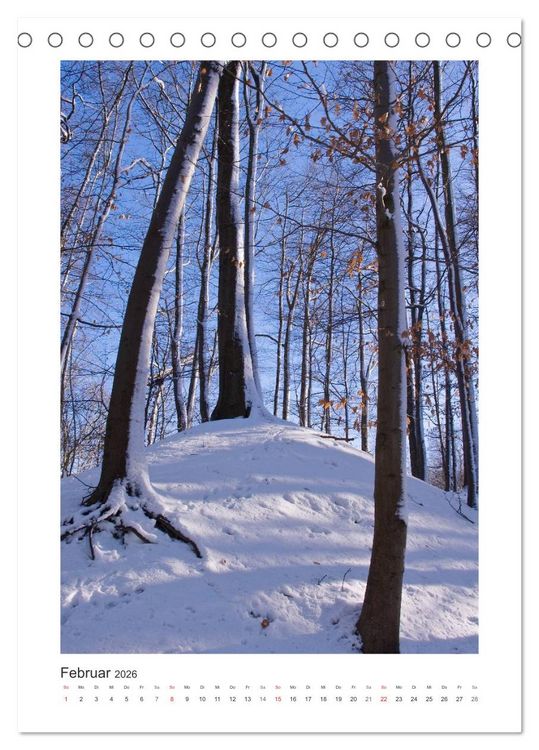 Produktbild: Impressionen aus unserem Wald (Tischkalender 2026 DIN A5 hoch), CALVENDO Monatskalender
