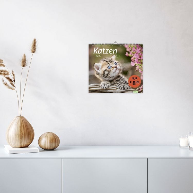 Produktbild: times&more Katzen Bildkalender 2027