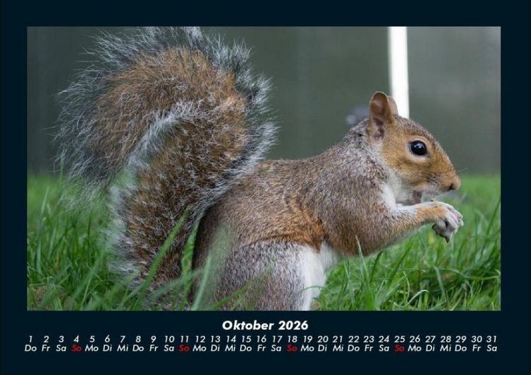 Produktbild: London 2026 Fotokalender DIN A4