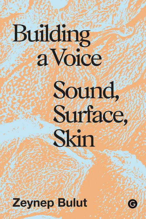 Produktbild: Building a Voice