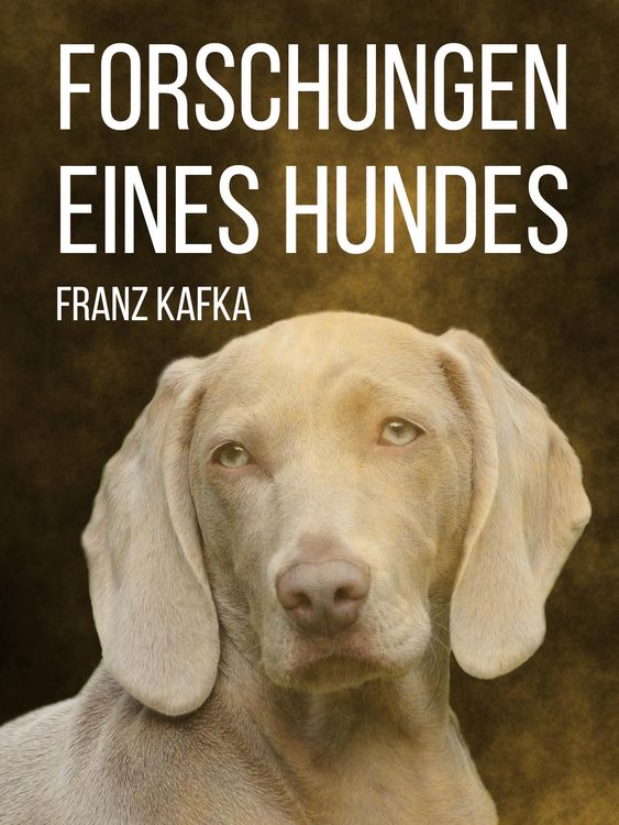 Produktbild: Forschungen eines Hundes