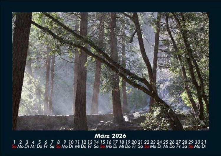 Produktbild: Bilder der Natur 2026 Fotokalender DIN A5