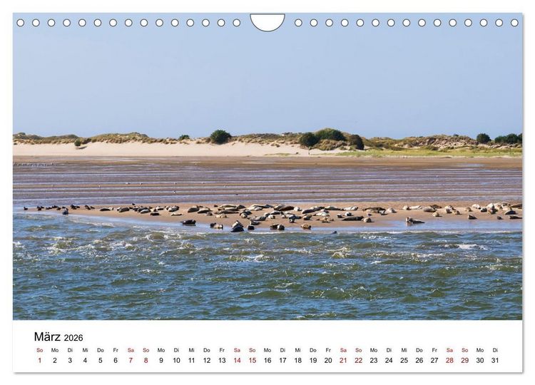 Produktbild: Ostfriesland - Ein Jahr in Bildern (Wandkalender 2026 DIN A4 quer), CALVENDO Monatskalender
