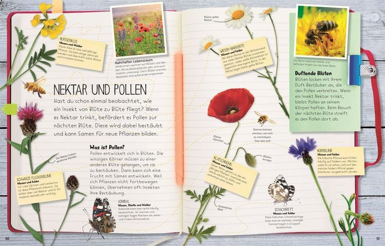 Produktbild: Wilde Natur