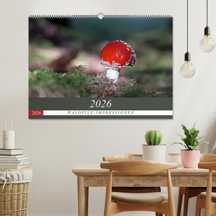 Produktbild: Waldpilz-Impressionen (Wandkalender 2026 DIN A2 quer), CALVENDO Monatskalender