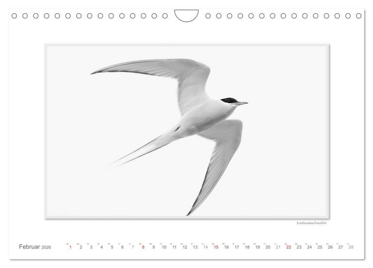Produktbild: Spitzbergen Svalbard (Wandkalender 2026 DIN A4 quer), CALVENDO Monatskalender