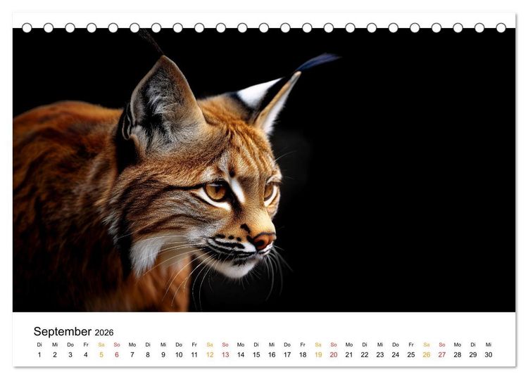 Produktbild: Wilde Heimat - Tiere unserer Natur (Tischkalender 2026 DIN A5 quer), CALVENDO Monatskalender