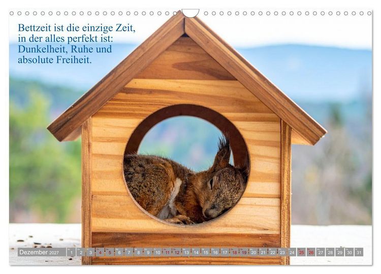 Produktbild: Erst schlafen, dann Welt retten (Wandkalender 2027 DIN A3 quer), CALVENDO Monatskalender