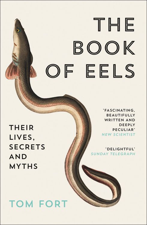 Produktbild: The Book of Eels