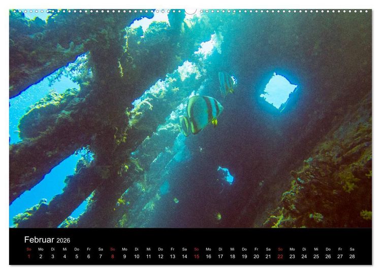 Produktbild: Abu Nuhas - Wracks im Roten Meer (Wandkalender 2026 DIN A2 quer), CALVENDO Monatskalender