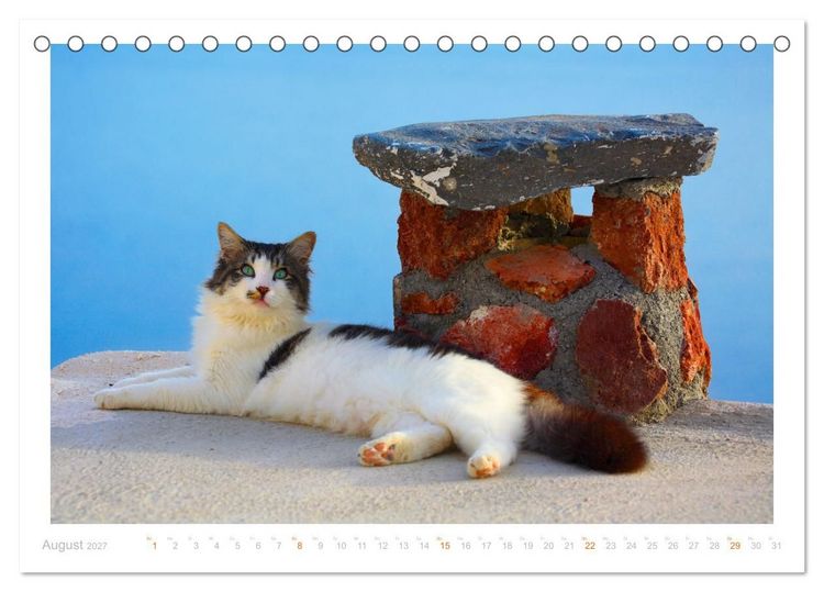 Produktbild: Inselkatzen (Tischkalender 2027 DIN A5 quer), CALVENDO Monatskalender