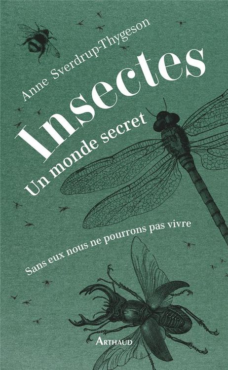 Produktbild: Insectes : un monde secret