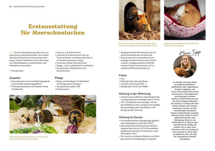 Produktbild: Meerschweinchen