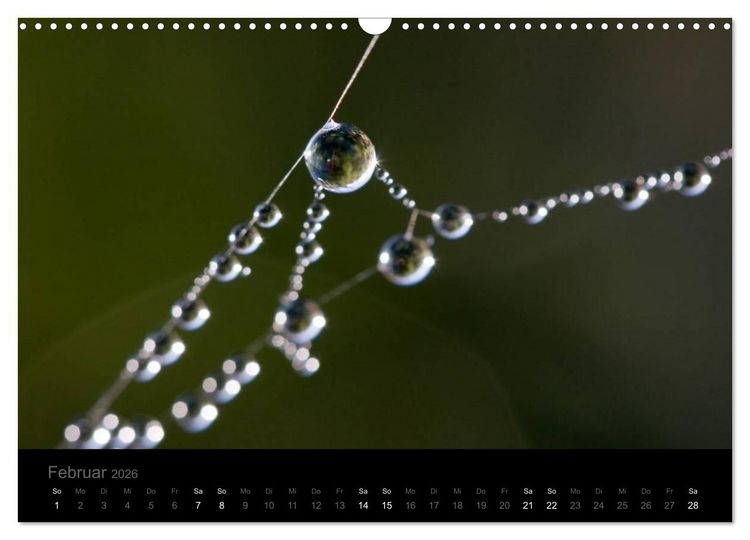 Produktbild: Natur im Detail (Wandkalender 2026 DIN A3 quer), CALVENDO Monatskalender