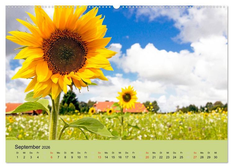 Produktbild: Nordsee - Traum (Wandkalender 2026 DIN A2 quer), CALVENDO Monatskalender