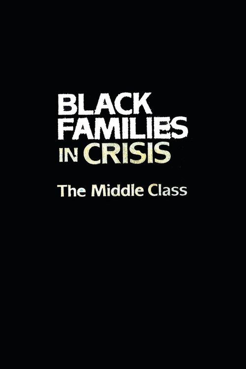 Produktbild: Black Families In Crisis