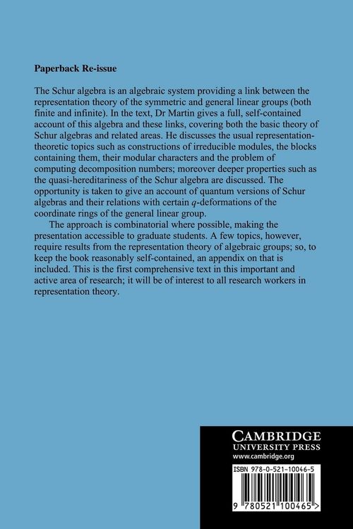 Produktbild: Schur Algebras and Representation Theory