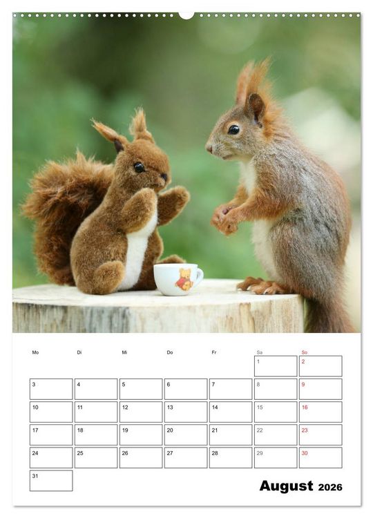 Produktbild: Die kleine Welt der Eichh&ouml;rnchen in Regensburg (hochwertiger Premium Wandkalender 2026 DIN A2 hoch), Kunstdruck in Hochglanz
