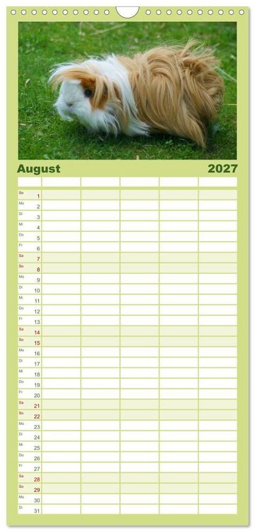 Produktbild: Familienplaner 2027 - Kuschelige Meerschweinchen mit 5 Spalten (Wandkalender, 21 x 45 cm) CALVENDO