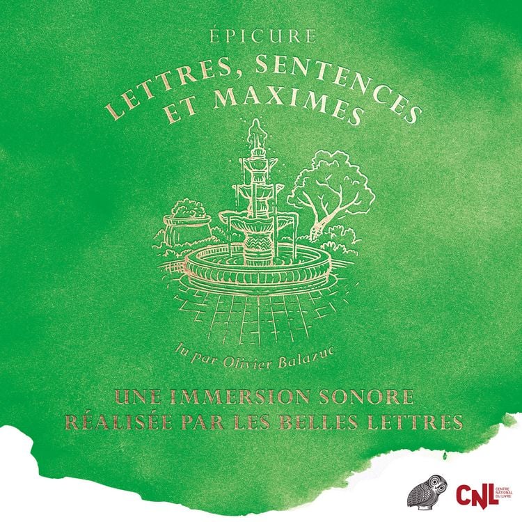 Produktbild: Lettres, sentences et maximes