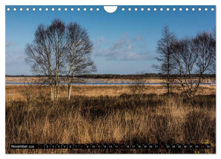 Produktbild: Worpswede - K&uuml;nstlerdorf unter weitem Himmel (Wandkalender 2026 DIN A4 quer), CALVENDO Monatskalender