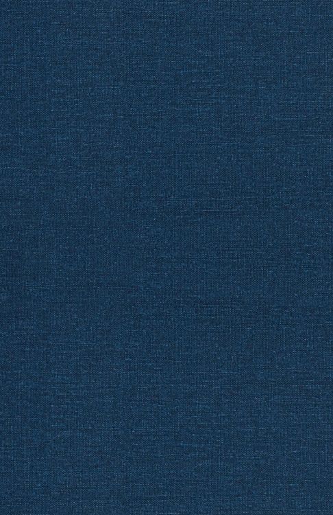 Produktbild: The Rise of Populism
