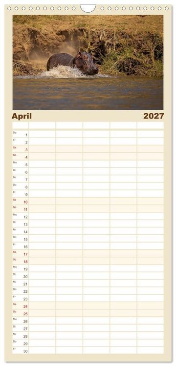 Produktbild: Familienplaner 2027 - Hippos - Gef&auml;hrliche Giganten mit 5 Spalten (Wandkalender, 21 x 45 cm) CALVENDO
