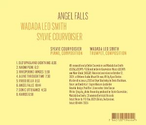 Produktbild: Angel Falls