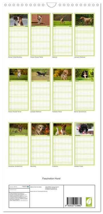 Produktbild: Familienplaner 2026 - Faszination Hund mit 5 Spalten (Wandkalender, 21 x 45 cm) CALVENDO