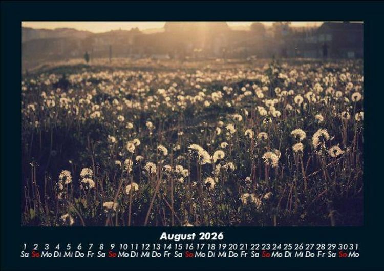 Produktbild: Blumentr&auml;ume 2026 Fotokalender DIN A5