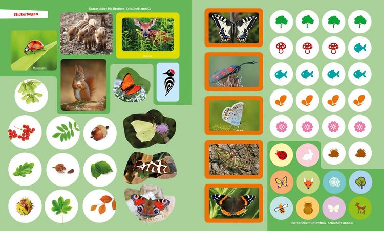 Produktbild: WAS IST WAS R&auml;tseln und Stickern: Natur
