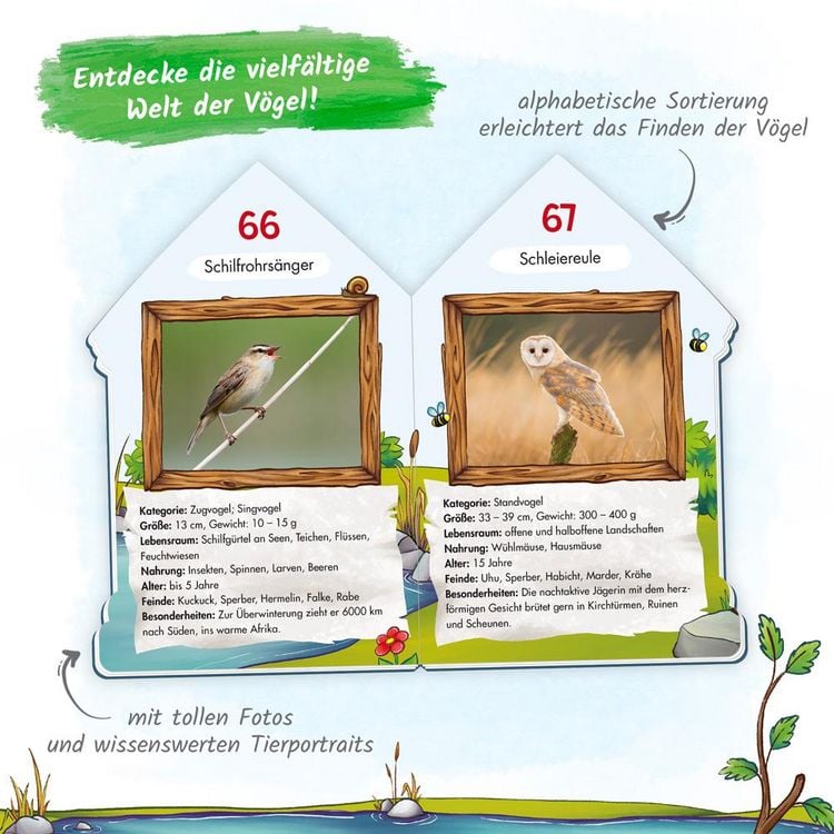 Produktbild: Tr&ouml;tsch Buch in Hausform 101 Heimische V&ouml;gel von A bis Z, die du kennen solltest