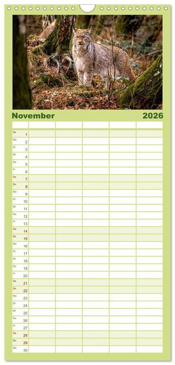 Produktbild: Familienplaner 2026 - Der Luchs - Begegnungen mit einer Raubkatze mit 5 Spalten (Wandkalender, 21 x 45 cm) CALVENDO