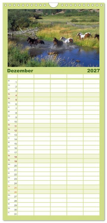 Produktbild: Familienplaner 2027 - Wilde Pferde &bull; Mustangs in USA mit 5 Spalten (Wandkalender, 21 x 45 cm) CALVENDO