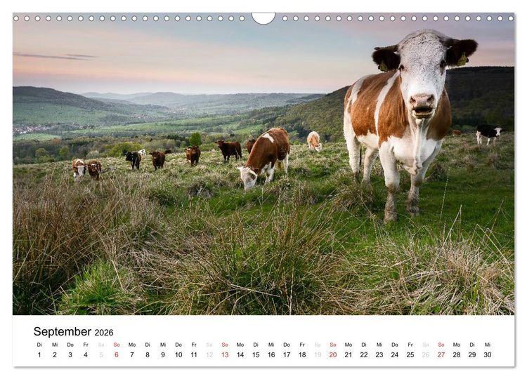 Produktbild: Naturerlebnis im Biosph&auml;renreservat Rh&ouml;n (Wandkalender 2026 DIN A3 quer), CALVENDO Monatskalender