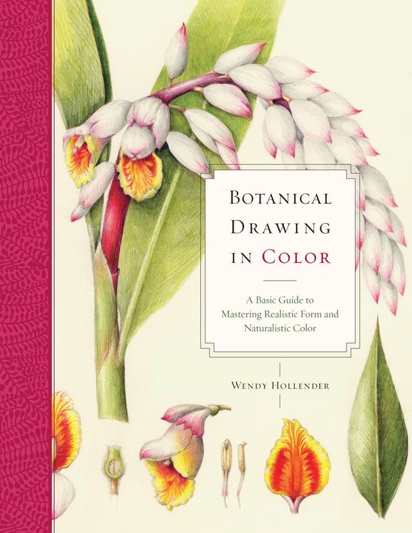 Produktbild: Botanical Drawing in Color