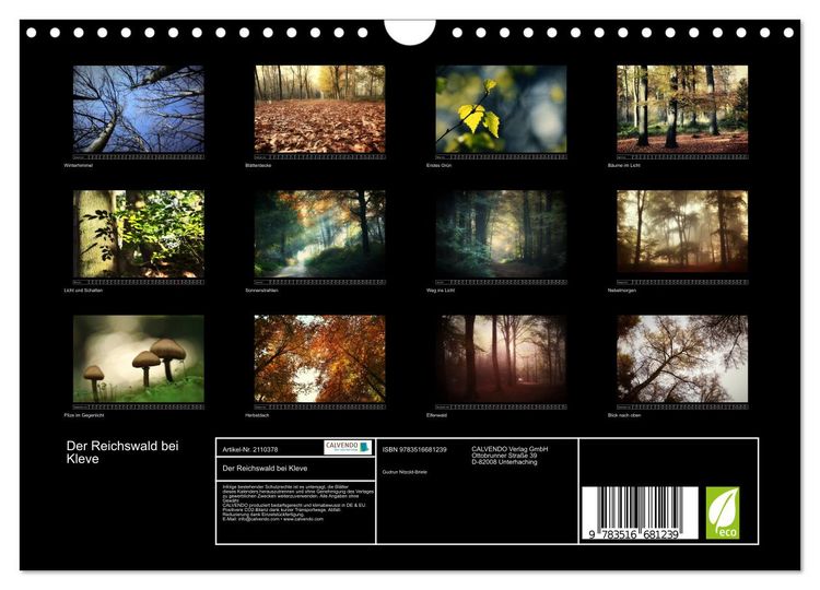Produktbild: Der Reichswald bei Kleve (Wandkalender 2026 DIN A4 quer), CALVENDO Monatskalender