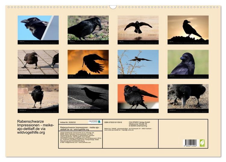 Produktbild: Rabenschwarze Impressionen - meike-ajo-dettlaff.de via wildvogelhlfe.org (Wandkalender 2026 DIN A2 quer), CALVENDO Monatskalender