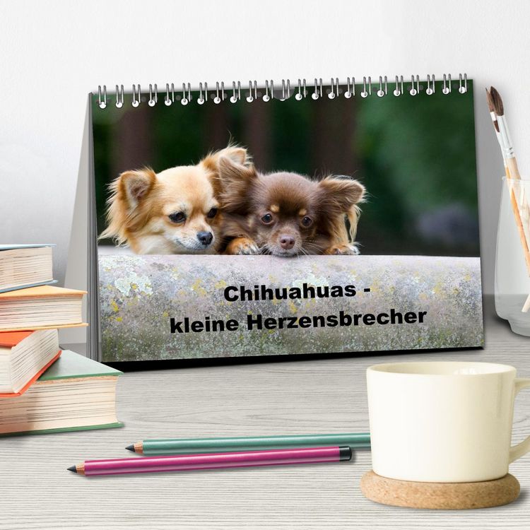 Produktbild: Chihuahuas - kleine Herzensbrecher (Tischkalender 2026 DIN A5 quer), CALVENDO Monatskalender