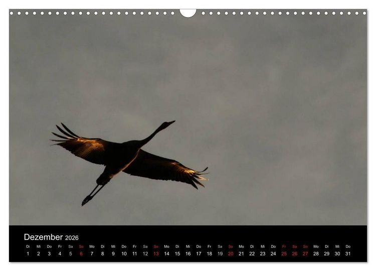 Produktbild: Kraniche (Wandkalender 2026 DIN A3 quer), CALVENDO Monatskalender