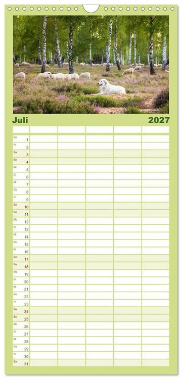 Produktbild: Familienplaner 2027 - Romantische Heidebl&uuml;te mit 5 Spalten (Wandkalender, 21 x 45 cm) CALVENDO
