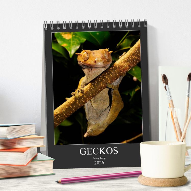 Produktbild: GECKOS (Tischkalender 2026 DIN A5 hoch), CALVENDO Monatskalender