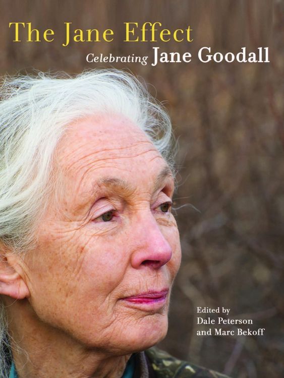 Produktbild: The Jane Effect