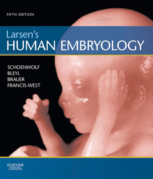 Produktbild: Larsen's Human Embryology