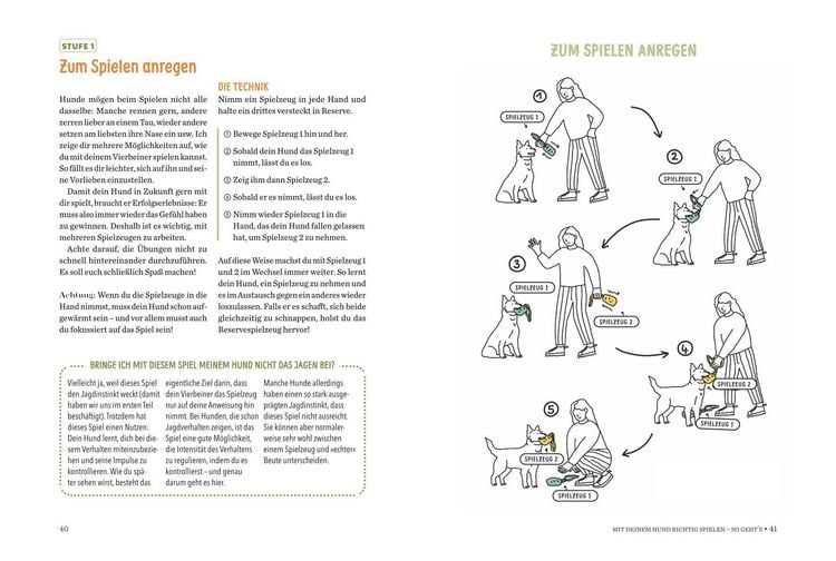 Produktbild: Spielerische Hundeerziehung