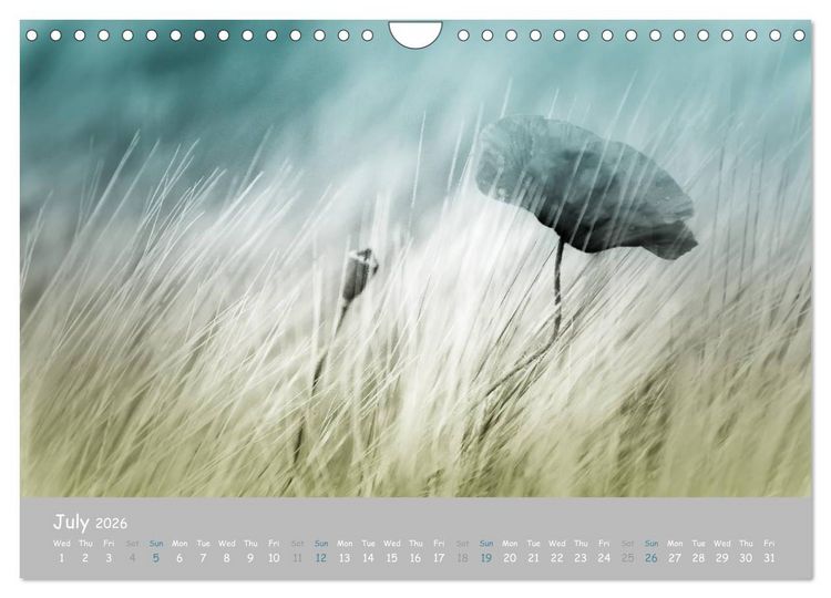 Produktbild: Poppy Love (Wall Calendar 2026 DIN A4 landscape), CALVENDO 12 Month Wall Calendar