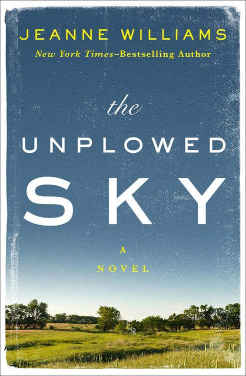 Produktbild: The Unplowed Sky
